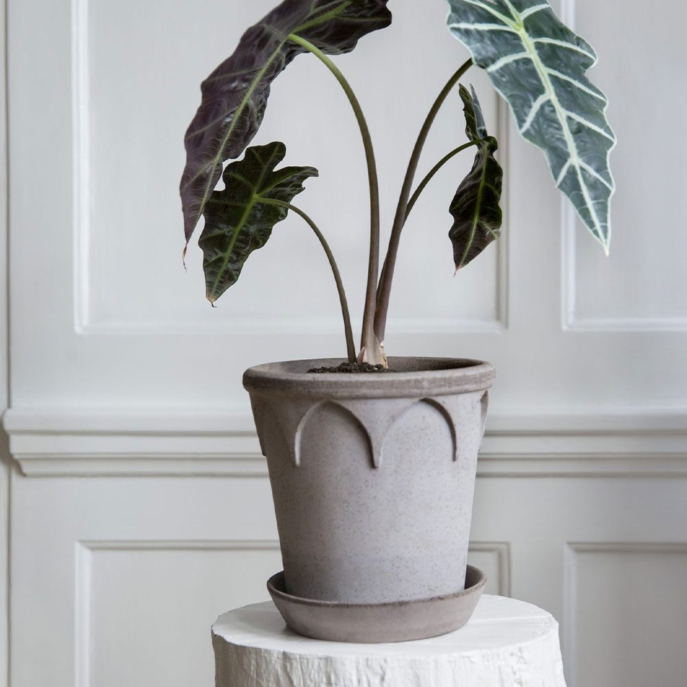 Elizabeth 16cm Pot & Saucer Grey - | Blumentopfuntersetzer