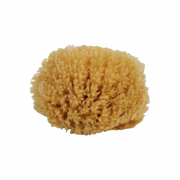 redecker bath sponge 608015