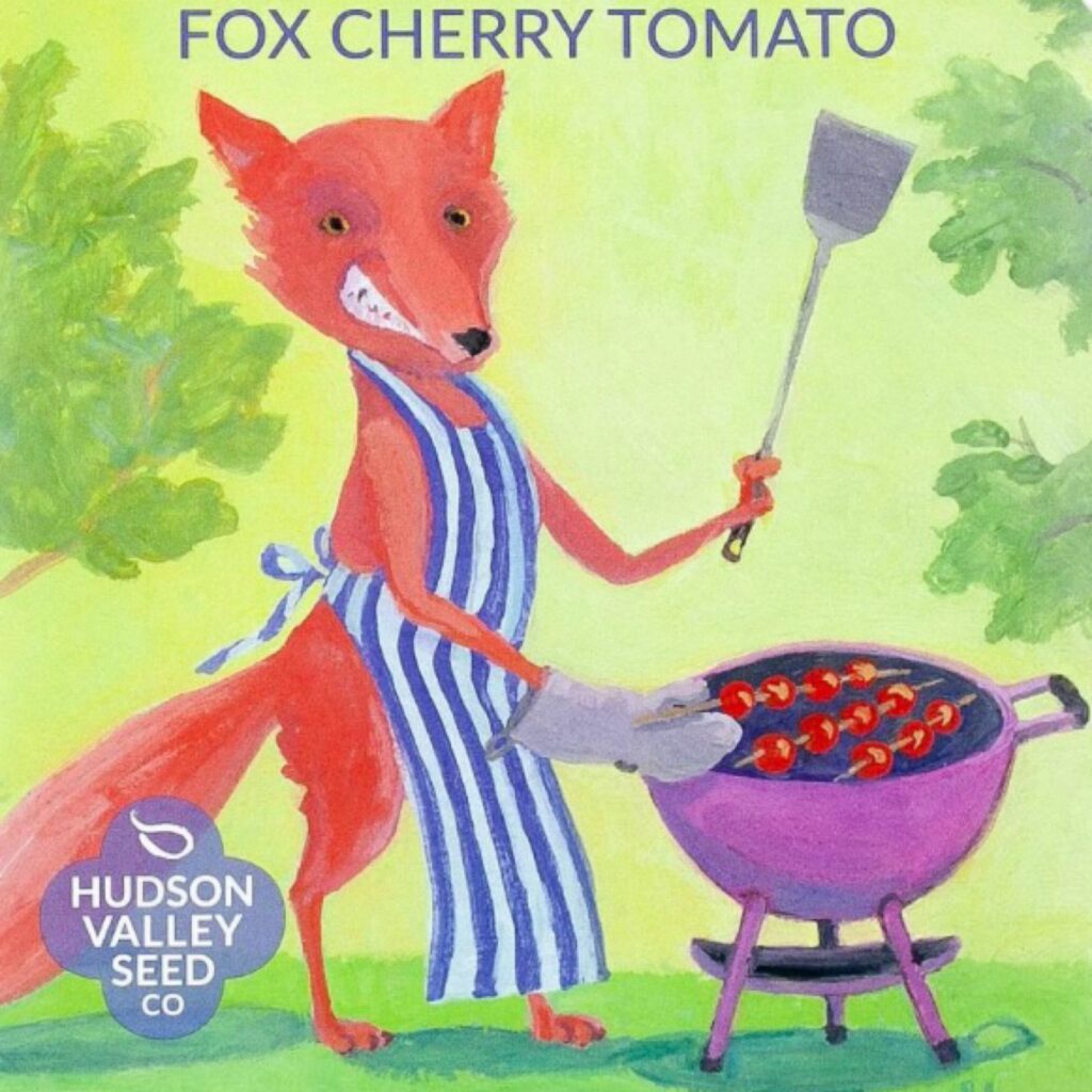 fox-cherry-tomato