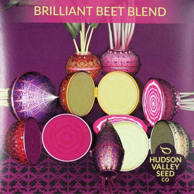 Brilliant Beet Blend
