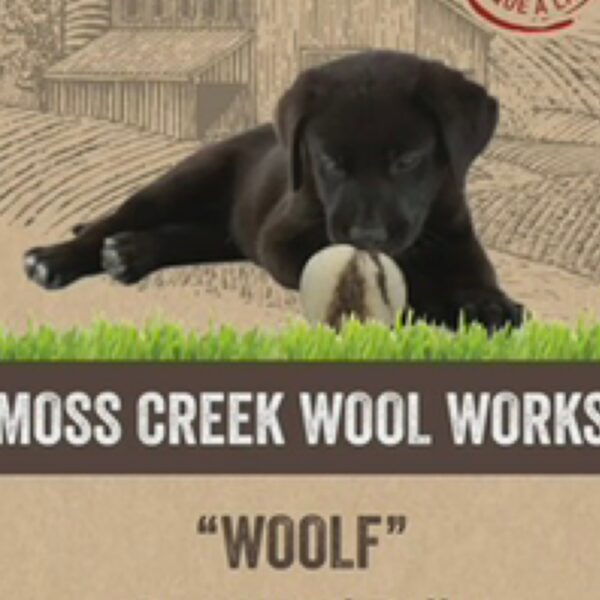 Wool Balls For Dogs Set Of 2