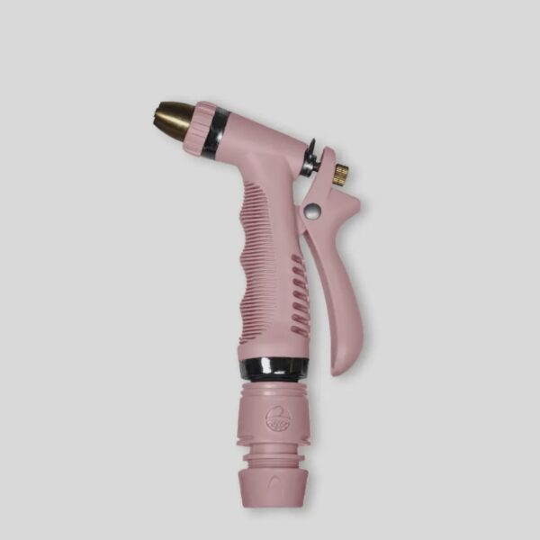 Spray Gun Rusty Rose