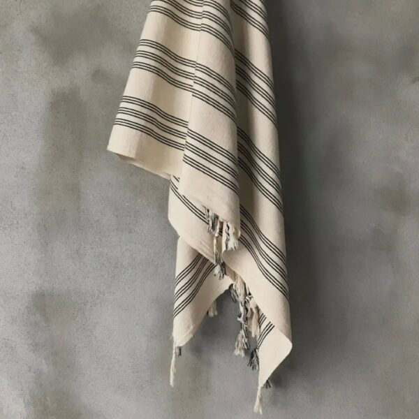 Turkish Towel Manet