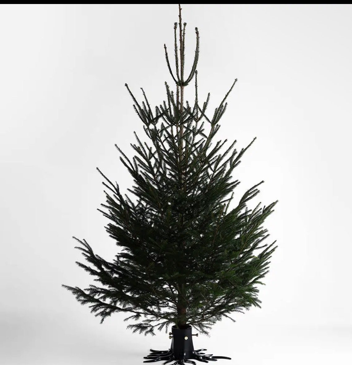 Black Root Christmas Tree Stand - Image 4